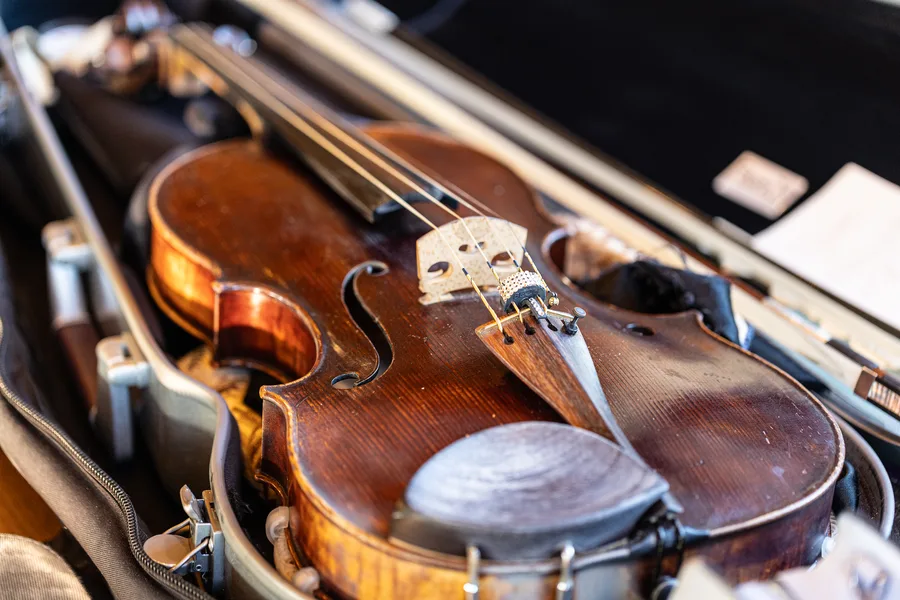 A violin resting in its case